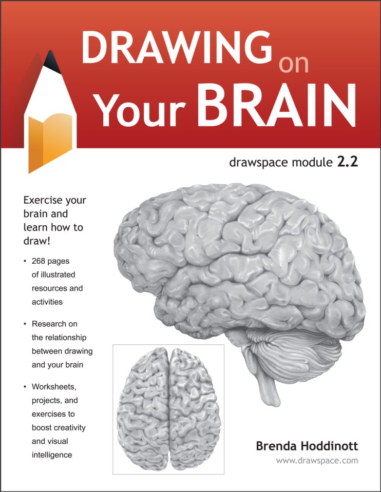 Brain Drawing